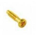 Винт для розетки с заземленным контактом золото металл BIRONI В-912-31